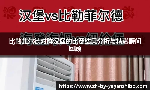 雨燕直播