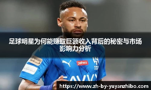 雨燕直播官方入口