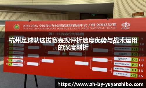 雨燕直播官网