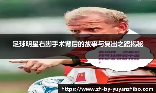 雨燕直播官方入口