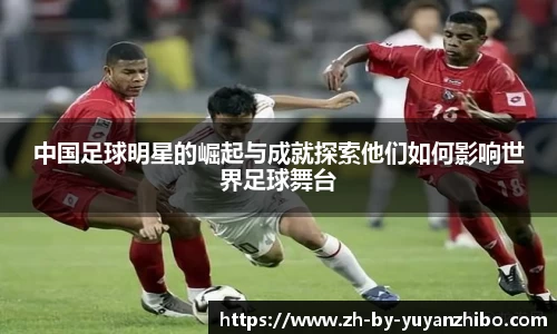 雨燕直播官方入口